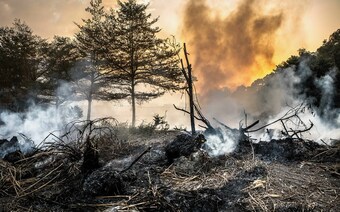 Оценка ущерба после стихийного бедствия в Иваново: отчет оценщика